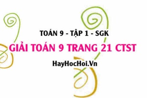 Giải Toán 9 trang 21 tập 1 Chân trời sáng tạo SGK